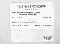 Puccinia meyeri-albertii image